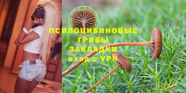мескалин Козловка