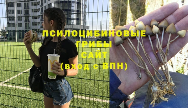 соль курить ск Корсаков